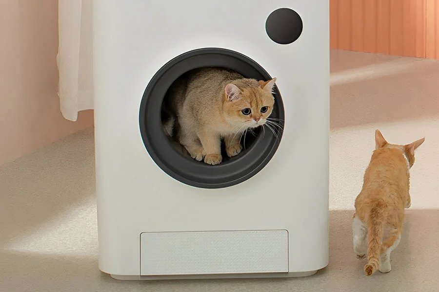 best litter for automatic litter box