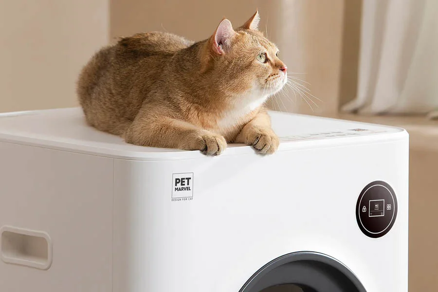 auto clean kitty litter box