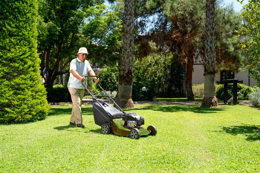 new lawn mowers